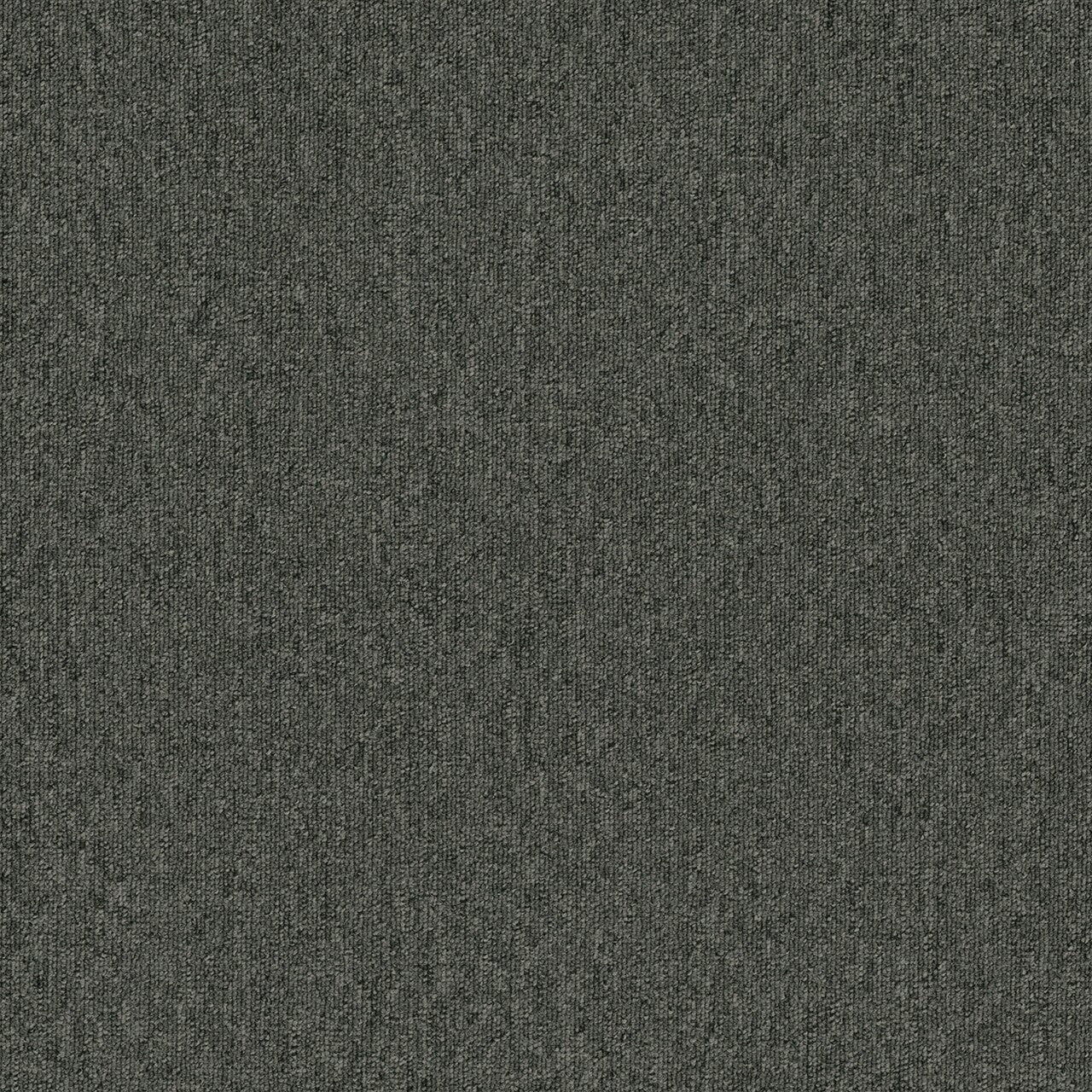 ZKS - 20 oz. - Broadloom Commercial Carpet - Sold by yd