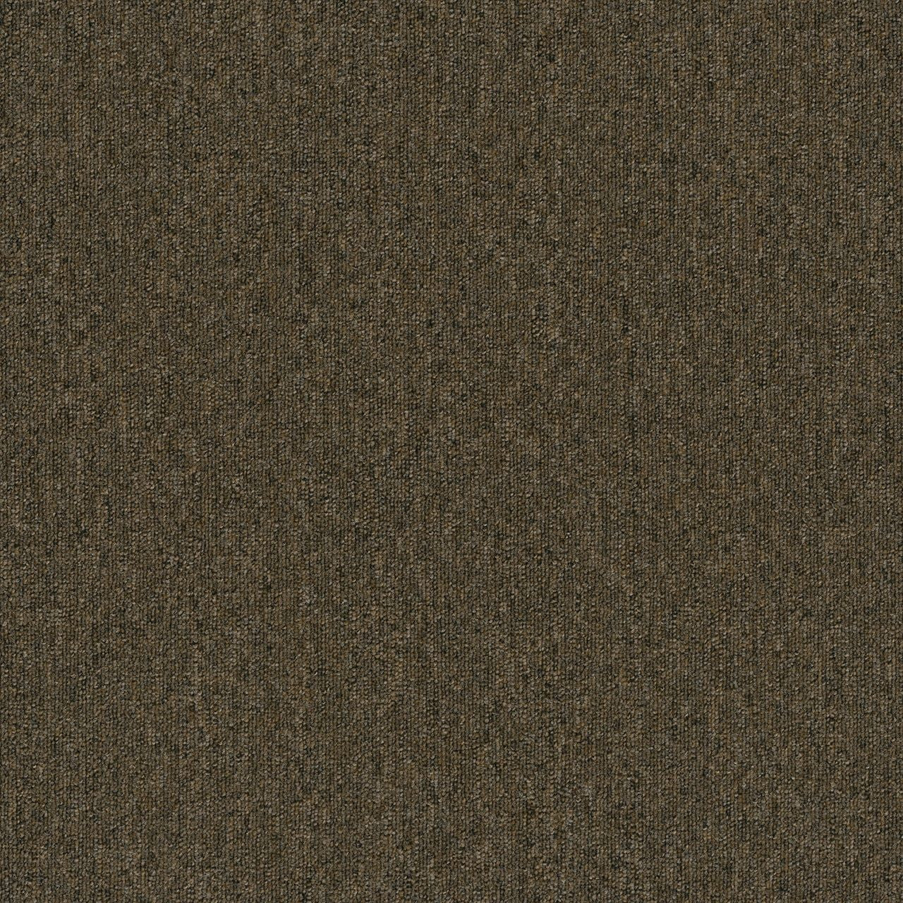 ZKS - 20 oz. - Broadloom Commercial Carpet - Sold by yd