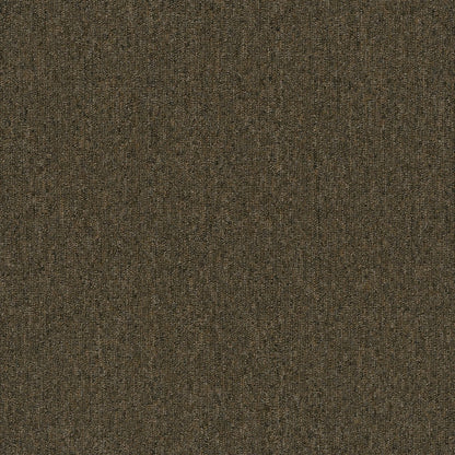 ZKS - 20 oz. - Broadloom Commercial Carpet - Sold by yd