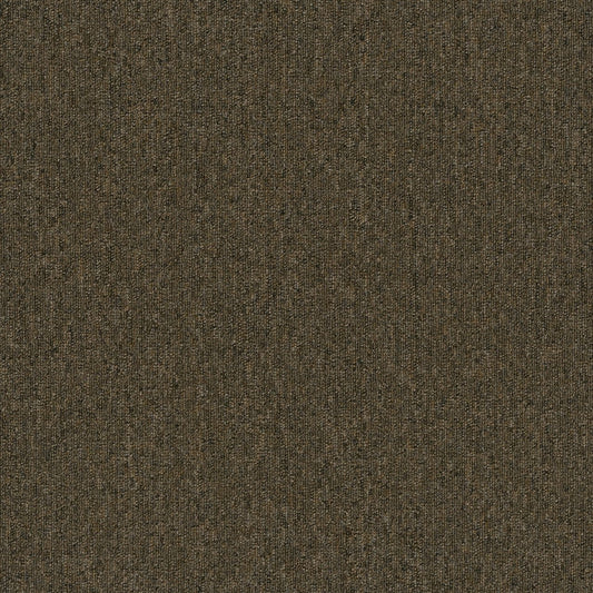 ZKS - 20 oz. - Broadloom Commercial Carpet - Sold by yd