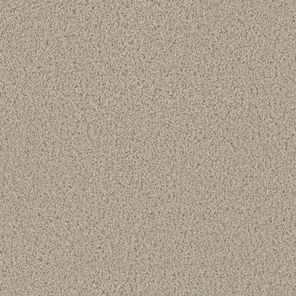ZKS - 25 oz. - Broadloom Residential Carpet - Sold by yd
