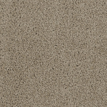 ZKS - 25 oz. - Broadloom Residential Carpet - Sold by yd