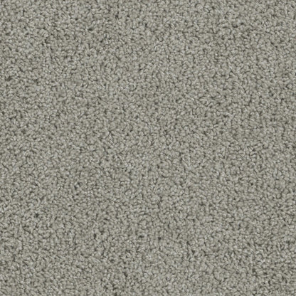 ZKS - 25 oz. - Broadloom Residential Carpet - Sold by yd