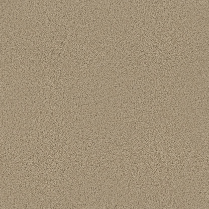 ZKS - 25 oz. - Broadloom Residential Carpet - Sold by yd