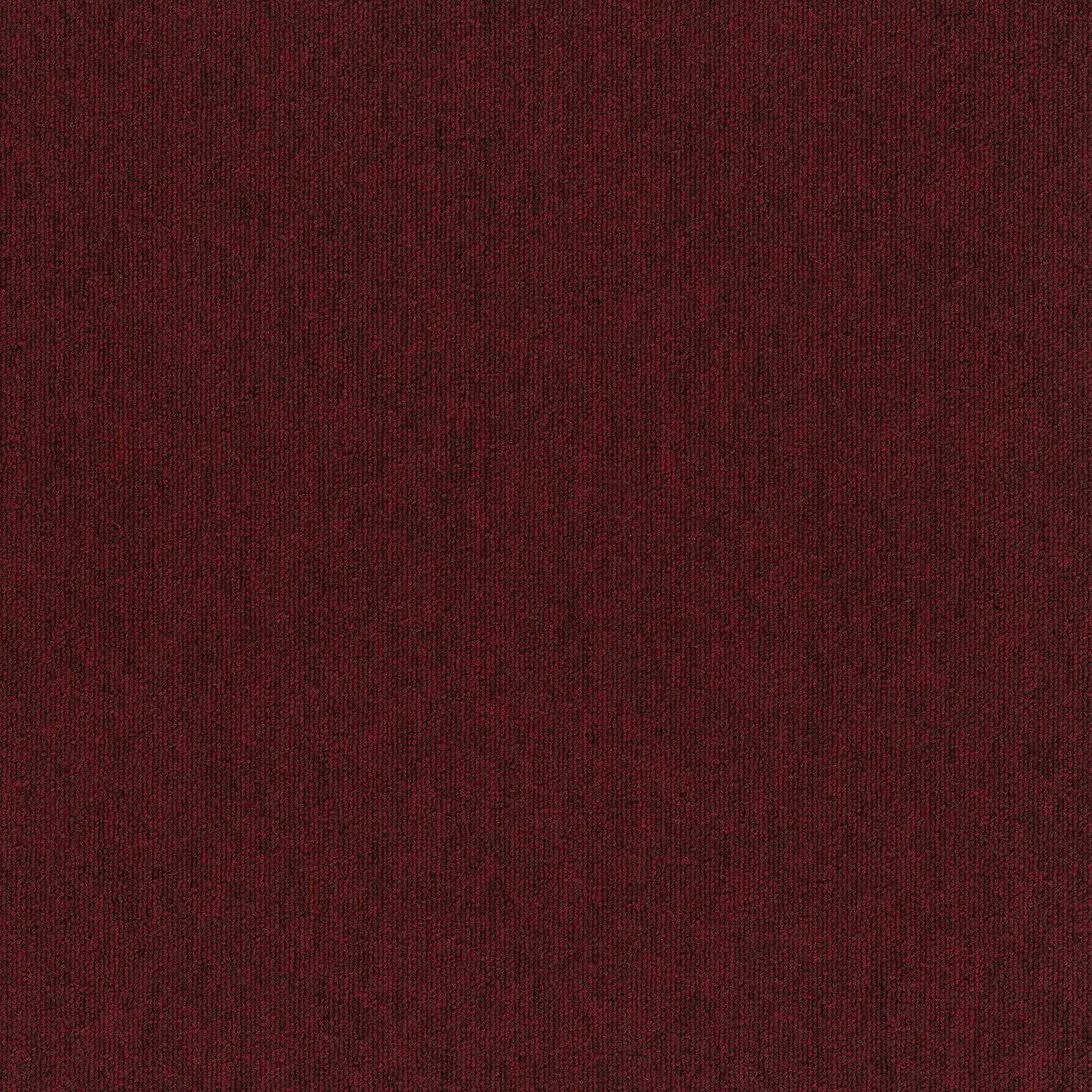 ZKS - 20 oz. - Broadloom Commercial Carpet - Sold by yd