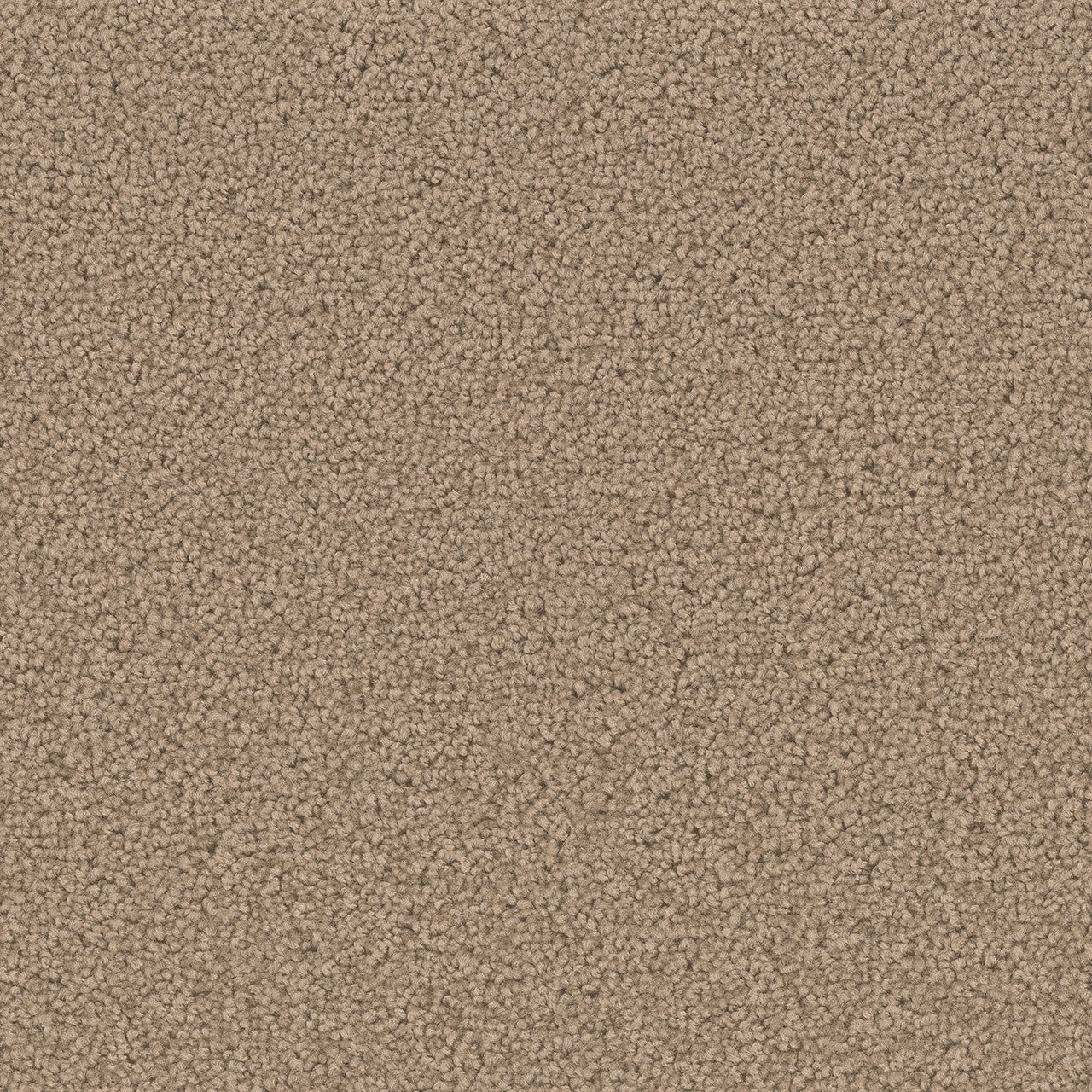 ZKS - 25 oz. - Broadloom Residential Carpet - Sold by yd