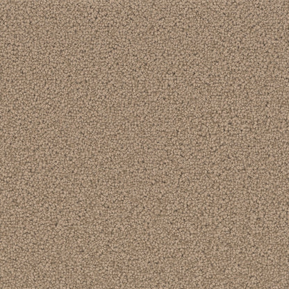 ZKS - 25 oz. - Broadloom Residential Carpet - Sold by yd