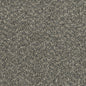 ZKS - 25 oz. - Broadloom Residential Carpet - Sold by yd