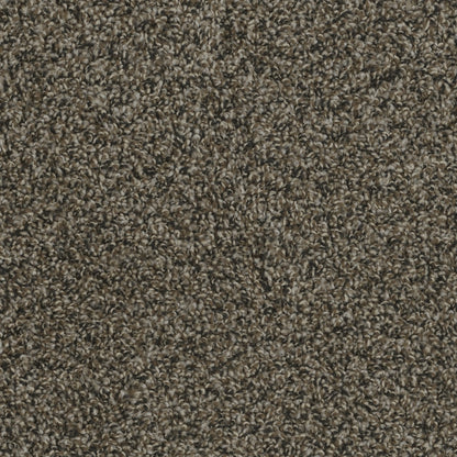 ZKS - 25 oz. - Broadloom Residential Carpet - Sold by yd