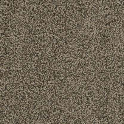 ZKS - 25 oz. - Broadloom Residential Carpet - Sold by yd