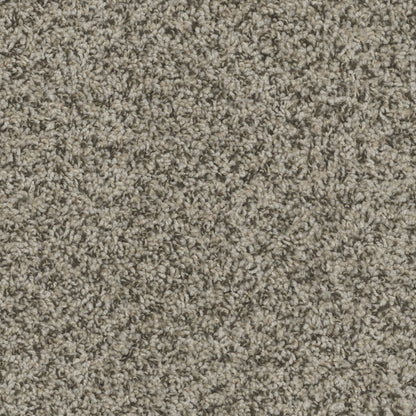 ZKS - 25 oz. - Broadloom Residential Carpet - Sold by yd