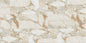 Emerald Shores Golden Calacata Matte  24x24