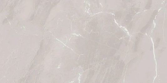 Elizabeth Silverstone Porcelain Tile 20"x40" - Sold by Ctn