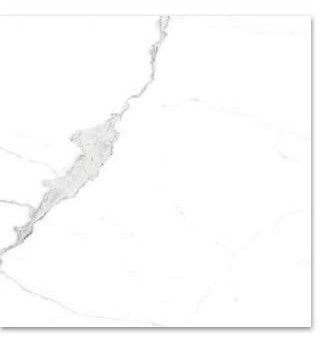 Calacatta White Matte 24x24