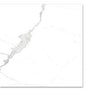 Calacatta White Matte 24x24