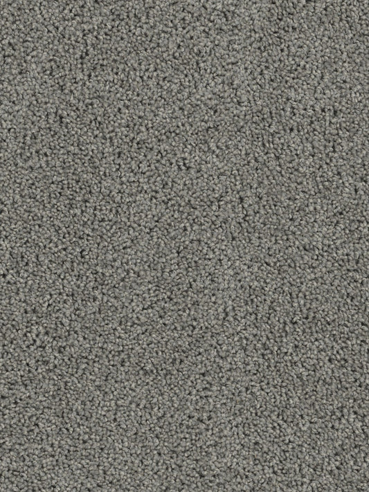 MZ 225 - Bayside - Carpet - Mezquite Installations